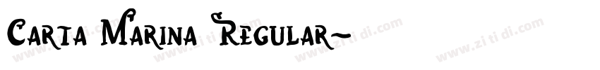 Carta Marina Regular字体转换